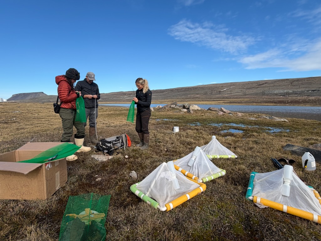 Insect traps are prepared prior to deployment in the field.