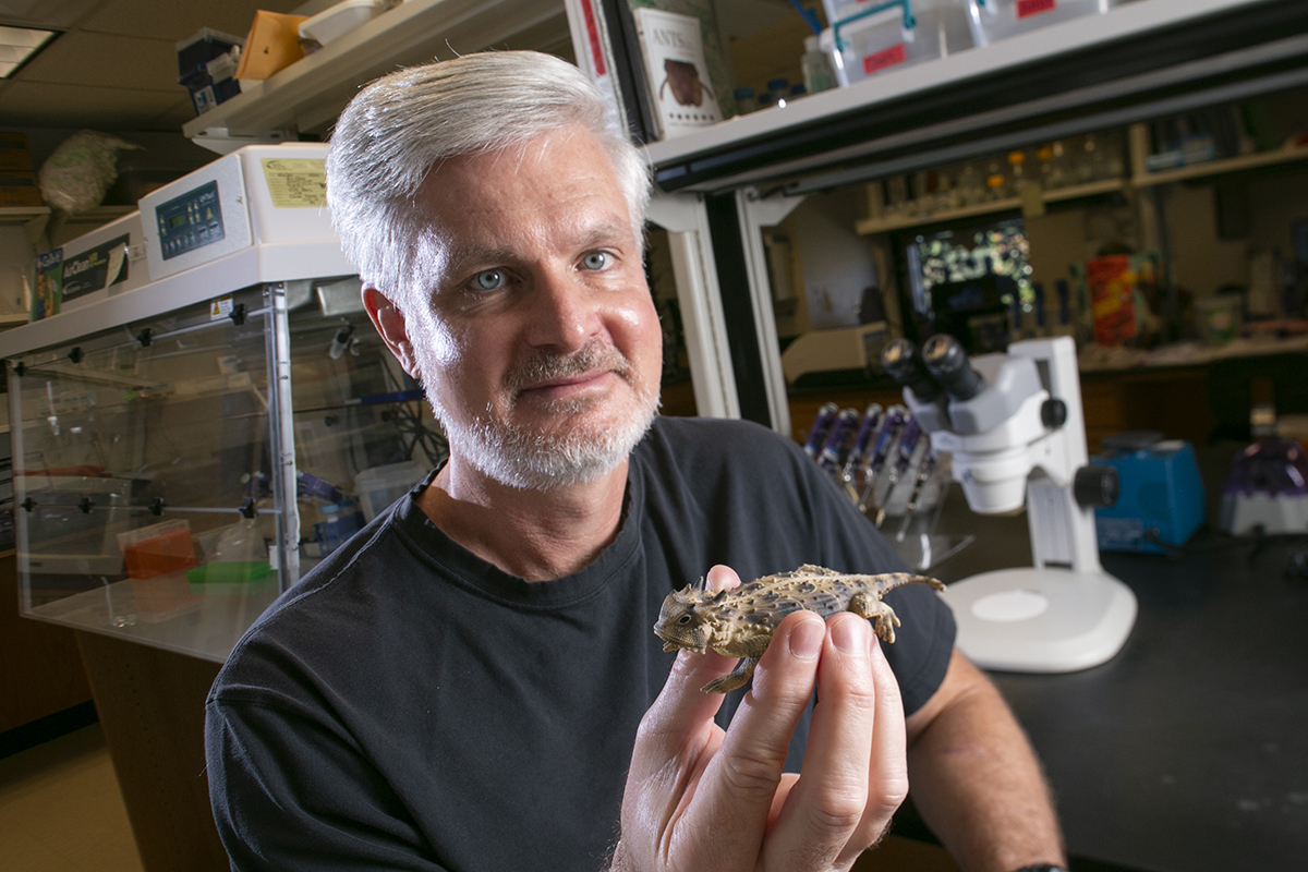 Dean Williams holding a Horned Lizard