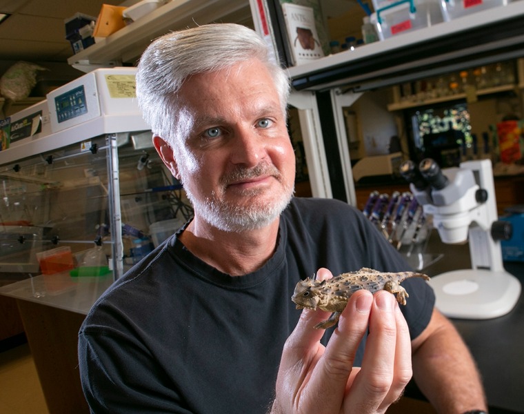 Dean Williams holding a Horned Lizard